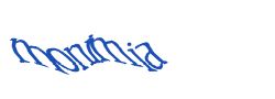 Digite o texto da imagem