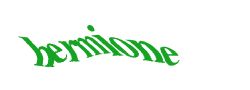 Digite o texto da imagem