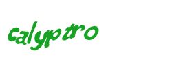 Digite o texto da imagem
