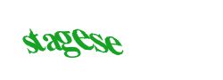Digite o texto da imagem