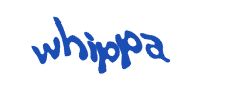 Digite o texto da imagem