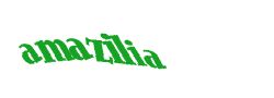 Digite o texto da imagem