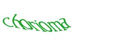 Digite o texto da imagem