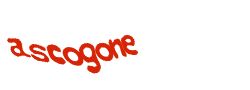 Digite o texto da imagem