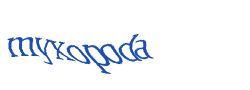 Digite o texto da imagem