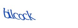 Digite o texto da imagem