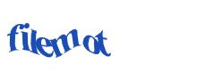 Digite o texto da imagem