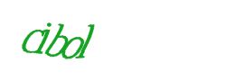 Digite o texto da imagem