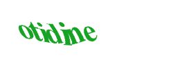 Digite o texto da imagem