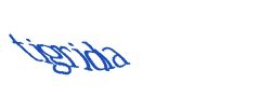 Digite o texto da imagem