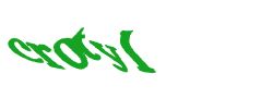 Digite o texto da imagem