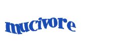 Digite o texto da imagem