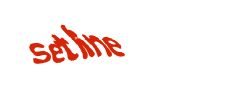 Digite o texto da imagem