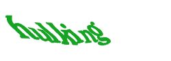 Digite o texto da imagem