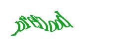 Digite o texto da imagem