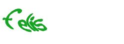 Digite o texto da imagem