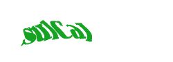 Digite o texto da imagem