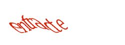 Digite o texto da imagem