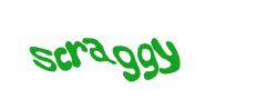 Digite o texto da imagem