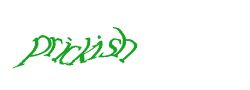 Digite o texto da imagem