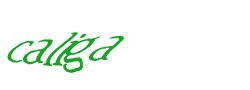 Digite o texto da imagem