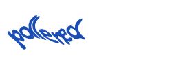 Digite o texto da imagem