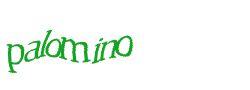 Digite o texto da imagem