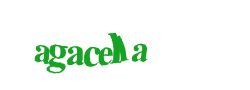 Digite o texto da imagem
