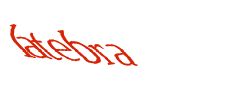 Digite o texto da imagem