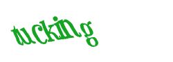 Digite o texto da imagem