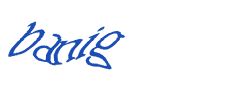 Digite o texto da imagem