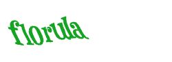 Digite o texto da imagem