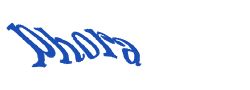 Digite o texto da imagem