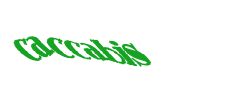 Digite o texto da imagem