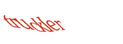 Digite o texto da imagem