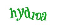 Digite o texto da imagem