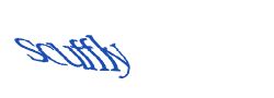 Digite o texto da imagem